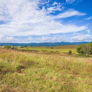 Photo #10 of 594 HEWITT RD, SWOOPE, VA 27.5 acres