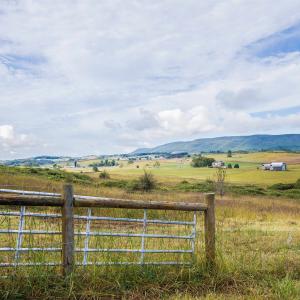 Photo #7 of 594 HEWITT RD, SWOOPE, VA 27.5 acres
