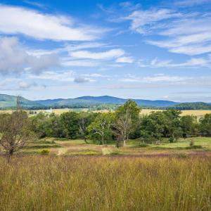 Photo #4 of 594 HEWITT RD, SWOOPE, VA 27.5 acres