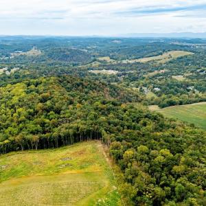 Photo #8 of TBD BALD ROCK RD, VERONA, VA 97.8 acres