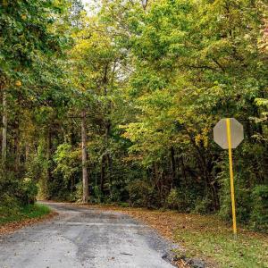 Photo #13 of TBD BALD ROCK RD, VERONA, VA 97.8 acres