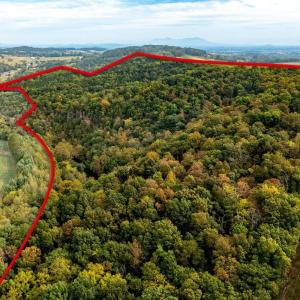 Photo #2 of TBD BALD ROCK RD, VERONA, VA 97.8 acres