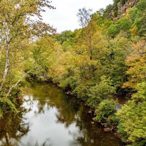 Photo #17 of TBD BALD ROCK RD, VERONA, VA 97.8 acres