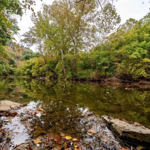 Photo #15 of TBD BALD ROCK RD, VERONA, VA 97.8 acres