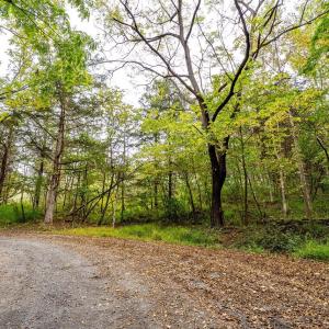 Photo #18 of TBD BALD ROCK RD, VERONA, VA 97.8 acres