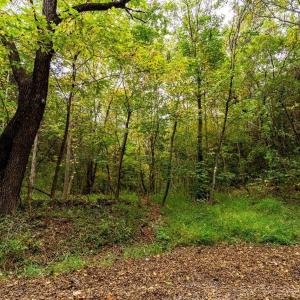 Photo #19 of TBD BALD ROCK RD, VERONA, VA 97.8 acres