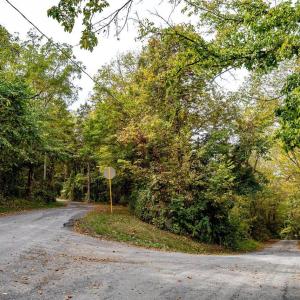 Photo #12 of TBD BALD ROCK RD, VERONA, VA 97.8 acres