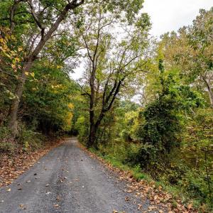 Photo #14 of TBD BALD ROCK RD, VERONA, VA 97.8 acres