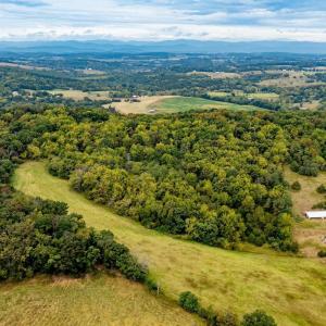 Photo #7 of TBD BALD ROCK RD, VERONA, VA 97.8 acres