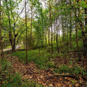 Photo #20 of TBD BALD ROCK RD, VERONA, VA 97.8 acres