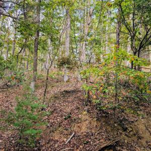 Photo #4 of FAIRWAY DR, BASYE, VA 0.3 acres