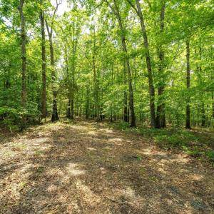 Photo #2 of 1309 SALEM RD, SCHUYLER, VA 3.3 acres