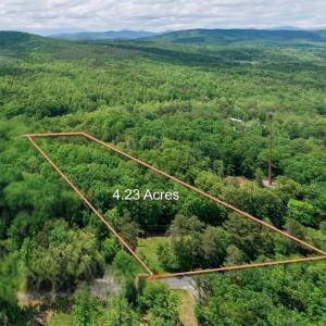 Photo #1 of 1309 SALEM RD, SCHUYLER, VA 4.2 acres