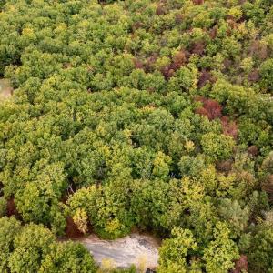 Photo #14 of TBD MOUNTAIN RIDGE LN, WAYNESBORO, VA 5.0 acres
