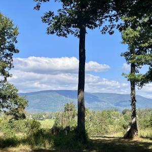 Photo #19 of MIDWAY RD, CHARLOTTESVILLE, VA 66.8 acres