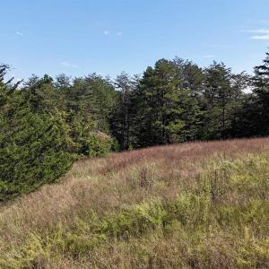 Photo #22 of MIDWAY RD, CHARLOTTESVILLE, VA 66.8 acres
