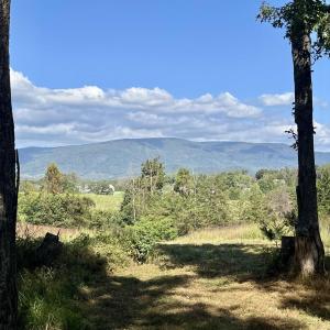 Photo #13 of MIDWAY RD, CHARLOTTESVILLE, VA 66.8 acres