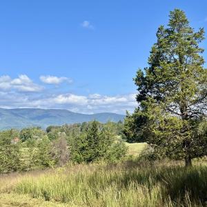 Photo #15 of MIDWAY RD, CHARLOTTESVILLE, VA 66.8 acres
