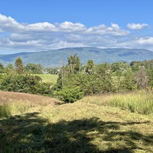 Photo #14 of MIDWAY RD, CHARLOTTESVILLE, VA 66.8 acres