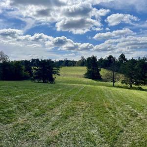 Photo #6 of MIDWAY RD, CHARLOTTESVILLE, VA 66.8 acres