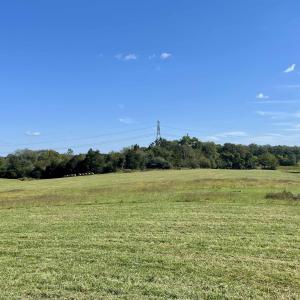 Photo #9 of MIDWAY RD, CHARLOTTESVILLE, VA 66.8 acres