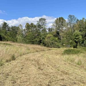 Photo #32 of MIDWAY RD, CHARLOTTESVILLE, VA 66.8 acres