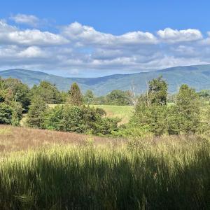 Photo #16 of MIDWAY RD, CHARLOTTESVILLE, VA 66.8 acres