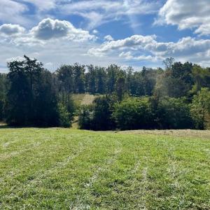 Photo #10 of MIDWAY RD, CHARLOTTESVILLE, VA 66.8 acres