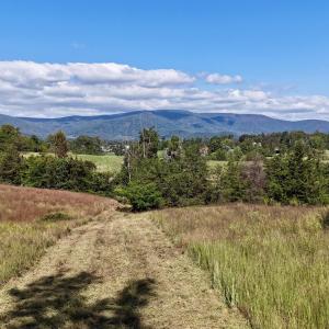 Photo #20 of MIDWAY RD, CHARLOTTESVILLE, VA 66.8 acres