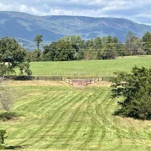 Photo #3 of MIDWAY RD, CHARLOTTESVILLE, VA 66.8 acres
