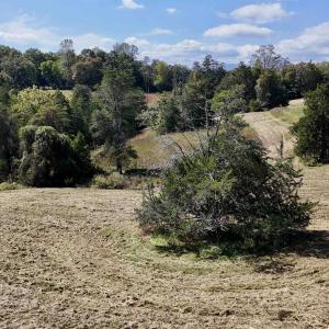 Photo #45 of MIDWAY RD, CHARLOTTESVILLE, VA 66.8 acres