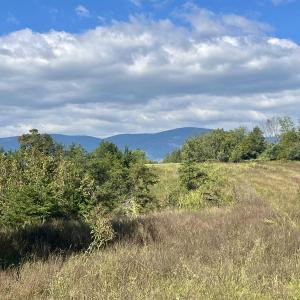Photo #40 of MIDWAY RD, CHARLOTTESVILLE, VA 66.8 acres