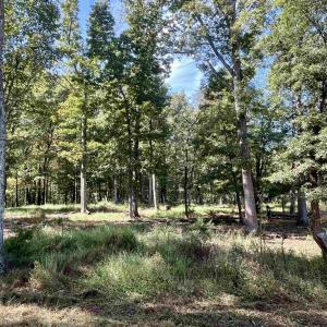 Photo #17 of MIDWAY RD, CHARLOTTESVILLE, VA 66.8 acres