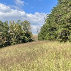 Photo #42 of MIDWAY RD, CHARLOTTESVILLE, VA 66.8 acres
