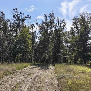 Photo #23 of MIDWAY RD, CHARLOTTESVILLE, VA 66.8 acres