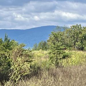 Photo #38 of MIDWAY RD, CHARLOTTESVILLE, VA 66.8 acres