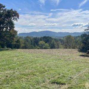Photo #27 of MIDWAY RD, CHARLOTTESVILLE, VA 66.8 acres