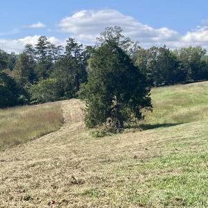 Photo #31 of MIDWAY RD, CHARLOTTESVILLE, VA 66.8 acres