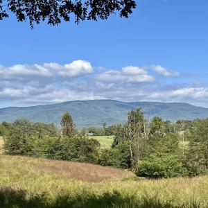 Photo #18 of MIDWAY RD, CHARLOTTESVILLE, VA 66.8 acres