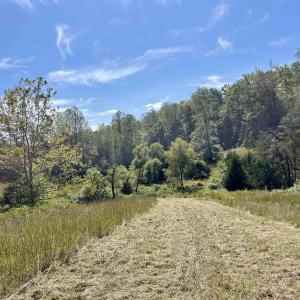 Photo #41 of MIDWAY RD, CHARLOTTESVILLE, VA 66.8 acres
