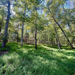 Photo #33 of MIDWAY RD, CHARLOTTESVILLE, VA 66.8 acres