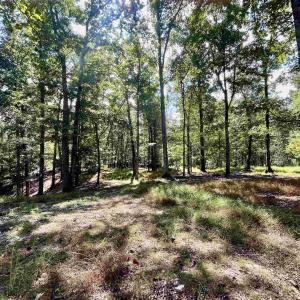 Photo #12 of MIDWAY RD, CHARLOTTESVILLE, VA 66.8 acres