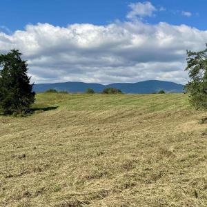 Photo #36 of MIDWAY RD, CHARLOTTESVILLE, VA 66.8 acres