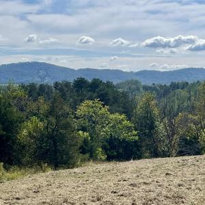 Photo #29 of MIDWAY RD, CHARLOTTESVILLE, VA 66.8 acres