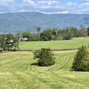Photo #1 of MIDWAY RD, CHARLOTTESVILLE, VA 66.8 acres