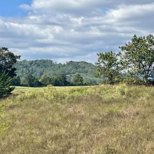 Photo #37 of MIDWAY RD, CHARLOTTESVILLE, VA 66.8 acres