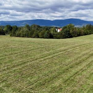 Photo #46 of MIDWAY RD, CHARLOTTESVILLE, VA 66.8 acres