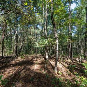 Photo #5 of ORANGE RD, PRATTS, VA 11.0 acres