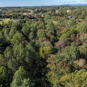 Photo #26 of ORANGE RD, PRATTS, VA 11.0 acres