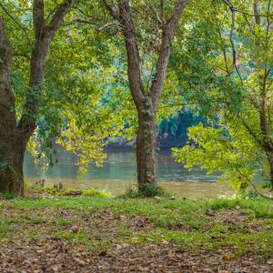 Photo #29 of TBD JONES OVERLOOK, HOWARDSVILLE, VA 125.6 acres